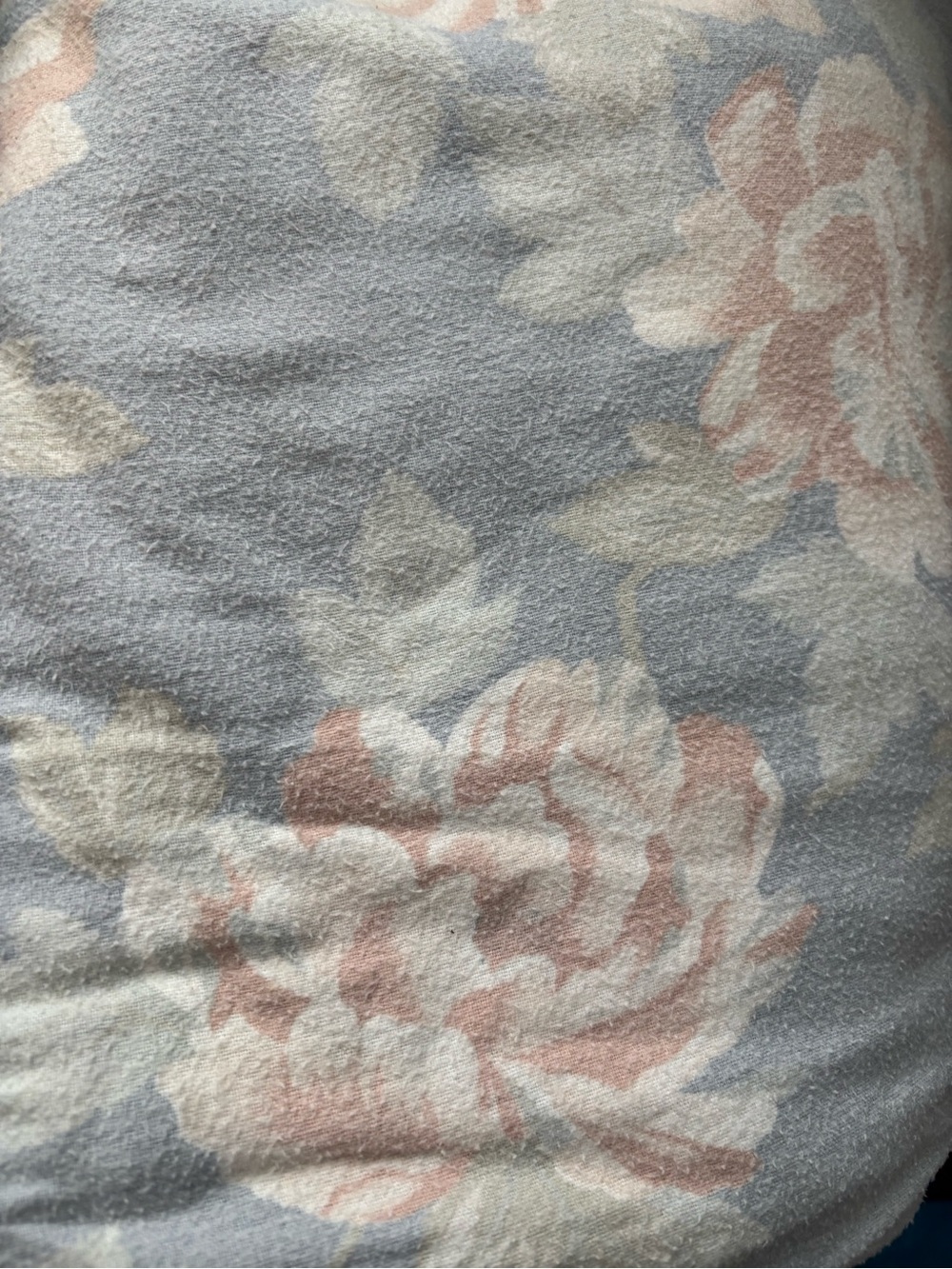 Floral Print Plush Twin Bedding in Light Blue and Blush